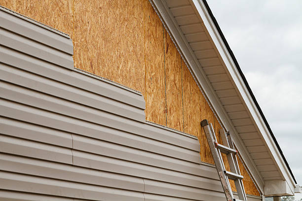 Professional Siding Contractor technician working in Naples, TX
